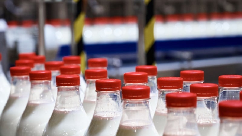 Chinese measures to raise birth rates are boosting dairy stocks